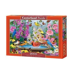 Головоломка Castorland Rhythmn of nature 2000 д. цена и информация | Пазлы | kaup24.ee