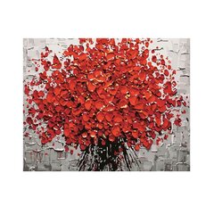 Maalimine numbrite järgi Poppy lõuend raamil 40x50cm цена и информация | Живопись по номерам | kaup24.ee