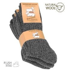 Носки унисекс с шерстью Norweger 2016, 3 пары, темно-серый цвет цена и информация | Женские носки | kaup24.ee
