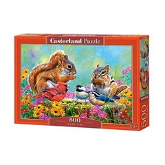 Pusle Castorland Snake time 500 osa hind ja info | Pusled | kaup24.ee