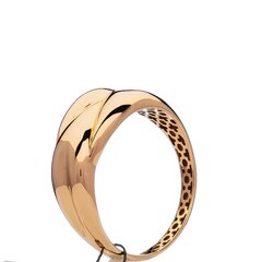 Золотое кольцо 0006940800238 цена и информация | Кольцо | kaup24.ee