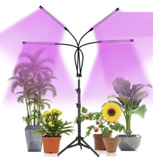 Led lamp taimede kasvatamiseks, 4 tk цена и информация | Nutipotid ja taimelambid | kaup24.ee