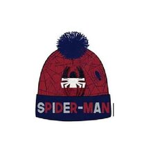 Шапка Spiderman цена и информация | Шапки, перчатки, шарфы для мальчиков | kaup24.ee