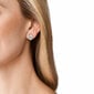Michael Kors Korralikud hõbekõrvarõngad premium tsirkoonidega MKC1559A6040 hind ja info | Kõrvarõngad | kaup24.ee