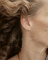 PDPAOLA Õrnad kullatud pikisuunalised kõrvarõngad läbipaistvate tsirkoonidega WHITE TIDE Gold AR01-431-U цена и информация | Kõrvarõngad | kaup24.ee