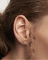 PDPAOLA Õrnad kullatud pikisuunalised kõrvarõngad läbipaistvate tsirkoonidega WHITE TIDE Gold AR01-431-U hind ja info | Kõrvarõngad | kaup24.ee