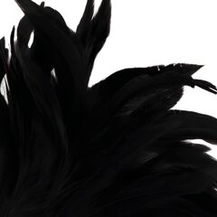 Darkness must feather lux hind ja info | BDSM ja fetish | kaup24.ee