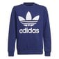 Džemper adidas originals trefoil crew h37743 цена и информация | Poiste kampsunid, vestid ja jakid | kaup24.ee