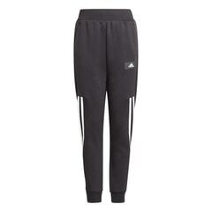 SWEATPANTS ADIDAS PERFORMANCE B FI 3S TAP P GT9433 цена и информация | Шорты для мальчиков | kaup24.ee