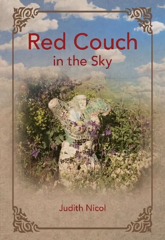 Red Couch in the Sky hind ja info | Elulooraamatud, biograafiad, memuaarid | kaup24.ee