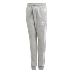 SWEATPANTS ADIDAS ORIGINALS TREFOIL PANTS GD2705 цена и информация | Штаны для мальчика Nini | kaup24.ee