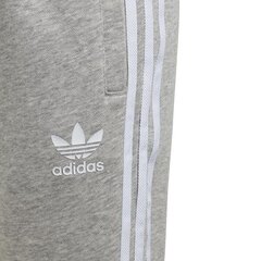 SWEATPANTS ADIDAS ORIGINALS TREFOIL PANTS GD2705 цена и информация | Штаны для мальчика Nini | kaup24.ee