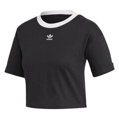 T-SHIRT ADIDAS ORIGINALS CROP TOP FM2557 цена и информация | Женские футболки | kaup24.ee