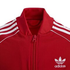 Džemper adidas цена и информация | Свитеры, жилетки, пиджаки для девочек | kaup24.ee