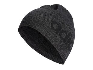 WINTER HAT ADIDAS CORE DAILY BEANIE LT DN8445 цена и информация | Женские шапки | kaup24.ee