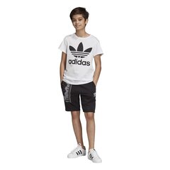 T-SHIRT ADIDAS ORIGINALS TREFOIL TEE DV2904 цена и информация | Рубашки для мальчиков | kaup24.ee