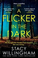 Flicker in the Dark цена и информация | Романы | kaup24.ee
