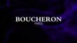 Boucheron Jaipur Pour Homme EDP meestele 100 ml цена и информация | Meeste parfüümid | kaup24.ee