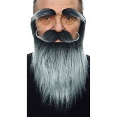 False beard My Other Me Серый цена и информация | Карнавальные костюмы | kaup24.ee