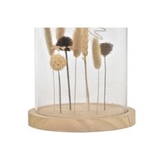 Dekoratiivkuju DKD Home Decor Kristall Naturaalne MDF (17 x 17 x 25 cm) (2 Ühikut) hind ja info | Sisustuselemendid | kaup24.ee