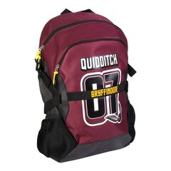 Школьный рюкзак Harry Potter, бордовый (33 x 48.5 x 18 см) цена и информация | Школьные рюкзаки, спортивные сумки | kaup24.ee