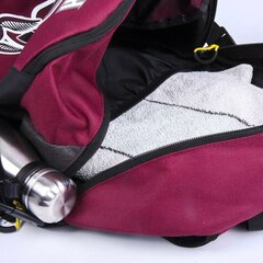 Школьный рюкзак Harry Potter, бордовый (33 x 48.5 x 18 см) цена и информация | Школьные рюкзаки, спортивные сумки | kaup24.ee