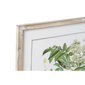 Maal DKD Home Decor Botaanilised taimed (55 x 2 x 70 cm) (6 Ühikut) hind ja info | Seinapildid | kaup24.ee