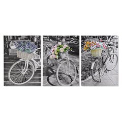Maal DKD Home Decor Jalgratas (50 x 2,5 x 70 cm) (3 Ühikut) hind ja info | Seinapildid | kaup24.ee