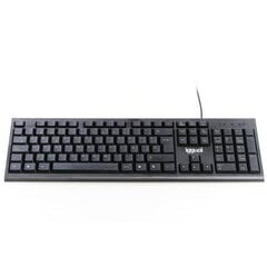 Iggual CK-BUSINESS-105T цена и информация | Клавиатура с игровой мышью 3GO COMBODRILEW2 USB ES | kaup24.ee