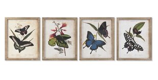 Картина DKD Home Decor, Бабочки (40 x 2 x 50 cm) (4 шт.) цена и информация | Настенные деревянные декорации | kaup24.ee