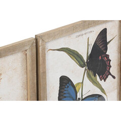 Картина DKD Home Decor, Бабочки (40 x 2 x 50 cm) (4 шт.) цена и информация | Настенные деревянные декорации | kaup24.ee