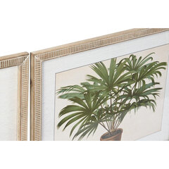 Maal DKD Home Decor Palmid Troopiline (65 x 2 x 50 cm) (4 Ühikut) hind ja info | Seinapildid | kaup24.ee