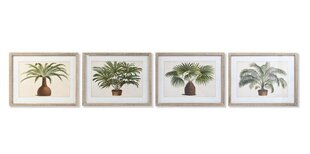 Картина DKD Home Decor, Пальмы (65 x 2 x 50 cm) (4 шт.) цена и информация | Репродукции, картины | kaup24.ee