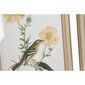 Maal DKD Home Decor Ptak Shabby Chic (30 x 2 x 40 cm) (6 Ühikut) hind ja info | Seinapildid | kaup24.ee