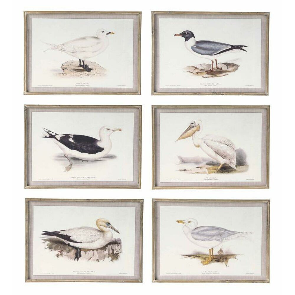 Maal DKD Home Decor Linnud (70 x 2,5 x 50 cm) (6 Ühikut) hind ja info | Seinapildid | kaup24.ee