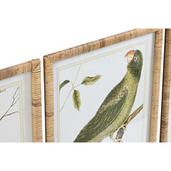 Maal DKD Home Decor Troopiline Linnud (50 x 2,5 x 60 cm) (4 Ühikut) hind ja info | Seinapildid | kaup24.ee
