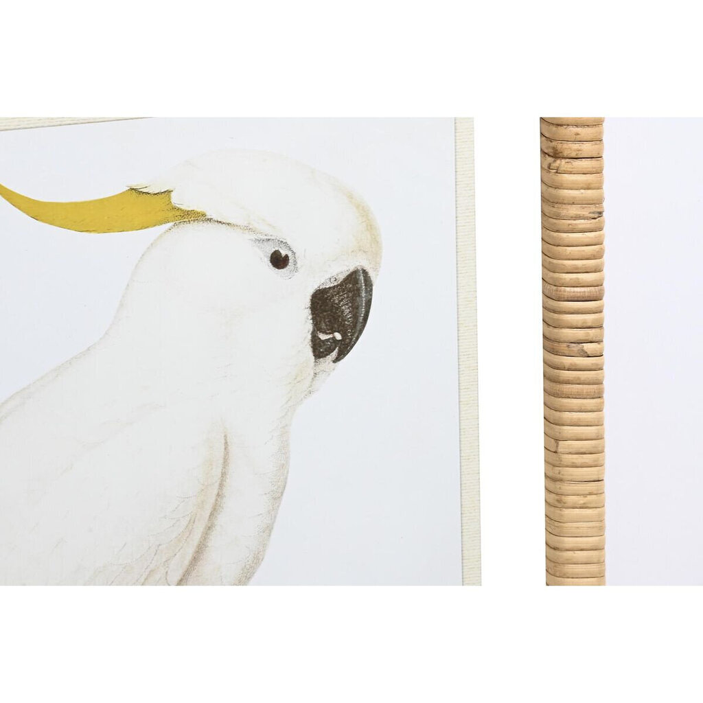 Maal DKD Home Decor Troopiline Linnud (50 x 2,5 x 60 cm) (4 Ühikut) цена и информация | Seinapildid | kaup24.ee
