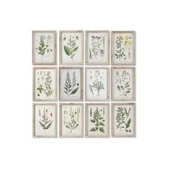 Картина DKD Home Decor Цветы, растения и деревья Shabby Chic (24 x 2 x 34.5 см) (12 шт.) цена и информация | Репродукции, картины | kaup24.ee