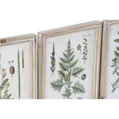 Картина DKD Home Decor Цветы, растения и деревья Shabby Chic (24 x 2 x 34.5 см) (12 шт.) цена и информация | Репродукции, картины | kaup24.ee