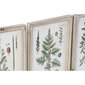 Maal DKD Home Decor Lilled, taimed ja puud Shabby Chic (24 x 2 x 34,5 cm) (12 Ühikut) hind ja info | Seinapildid | kaup24.ee
