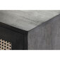 Puhvetkapp DKD Home Decor Pruun Rotang Mangopuit (155 x 40 x 61,5 cm) hind ja info | Kummutid | kaup24.ee