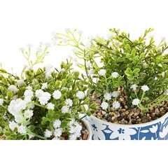 Декоративное растение DKD Home Decor PE (13.5 x 13.5 x 25 см) (2 шт.) цена и информация | Искусственные цветы | kaup24.ee