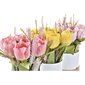 Dekoratiivlilled DKD Home Decor Vaas Keraamiline Roosa Kangas Fuksiaroosa Valge Kollane Tulp (18 x 18 x 26 cm) (3 Ühikut) hind ja info | Kunstlilled | kaup24.ee