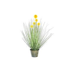 Декоративное растение DKD Home Decor Куб Зеленый Жёлтый Латунь PE (20 x 20 x 50 cm) цена и информация | Искусственные цветы | kaup24.ee