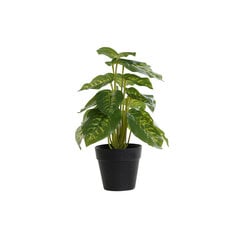 Декоративное растение DKD Home Decor Чёрный Зеленый PVC PP (20 x 20 x 30 cm) цена и информация | Искусственные цветы | kaup24.ee