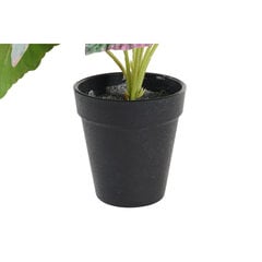 Декоративное растение DKD Home Decor Розовый Зеленый PE (10 x 10 x 22 cm) цена и информация | Искусственные цветы | kaup24.ee