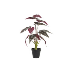 Декоративное растение DKD Home Decor Зеленый Бордовый PE (20 x 20 x 49 cm) цена и информация | Искусственные цветы | kaup24.ee