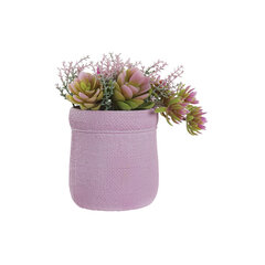 Декоративное растение DKD Home Decor Розовый EVA PE (17.5 x 14 x 20 cm) (2 штук) цена и информация | Искусственные цветы | kaup24.ee