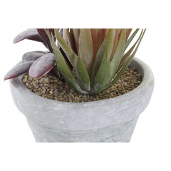 Декоративное растение DKD Home Decor, 16 x 12.5 x 19.5 см, 2 шт. цена и информация | Искусственные цветы | kaup24.ee