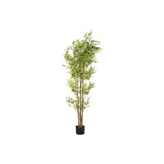 Декоративное растение DKD Home Decor Зеленый Бамбук PE (40 x 40 x 150 cm) цена и информация | Искусственные цветы | kaup24.ee
